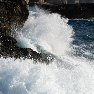 PHOTOGRAPHIE4